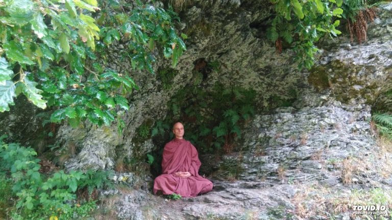 BRAHMAVIHARA MEDITATION 40-min instructions by Ven. Analayo